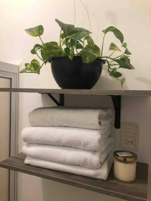 Comfortable And Private House 2 Bedrooms Wifi Parking Free Monterrey Esterno foto